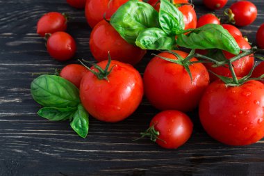 Asma ve yeşil fesleğen domates