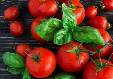 Asma ve yeşil fesleğen domates