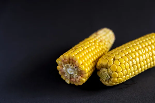 Färsk majs på majskolvar — Stockfoto