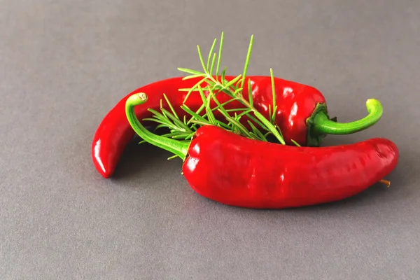 Bunch of fresh organic thyme, rosemary and red chili — Stock Photo, Image