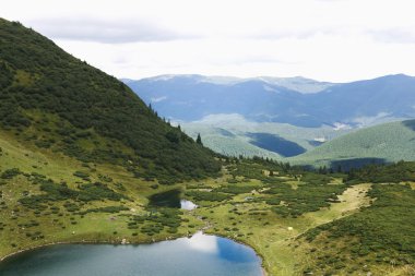 Dağlar göl ve tepeler, iğne yapraklı orman manzarası
