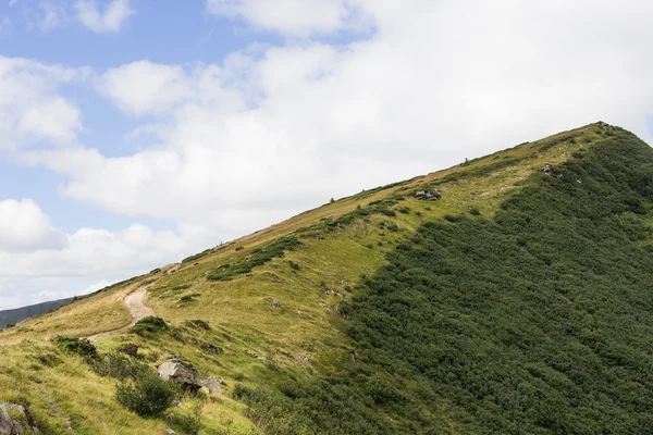 Vista do pico da montanha e prado verde — Fotografia de Stock