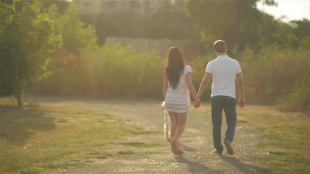 Casal jovem romântico bonito andando com um cão no parque — Vídeo de Stock