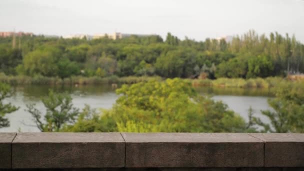 Meisje leren om te lopen met zijn moeder, de eerste stappen, het park, de zonnige dag — Stockvideo