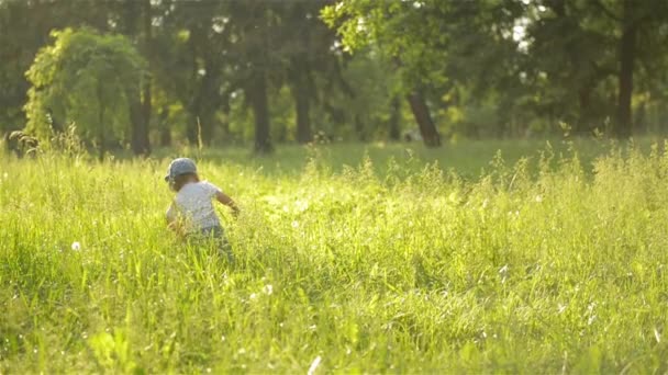 Чарівна дівчинка гуляє в прекрасному літньому саду, теплий сонячний день — стокове відео