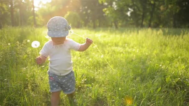 Αξιολάτρευτο μωρό κορίτσι περπάτημα σε ένα όμορφο καλοκαιρινό κήπο, ζεστή ηλιόλουστη μέρα — Αρχείο Βίντεο