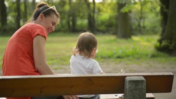 Мати і дитина дме на кульбабу на природі влітку в парку — стокове відео