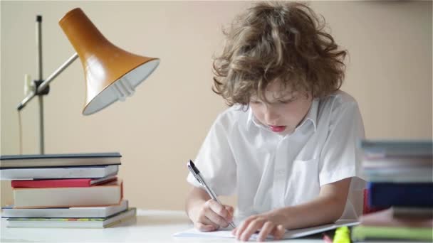 Bel ragazzo che fa i compiti. Educazione dei bambini, scrive uno studente in un quaderno — Video Stock