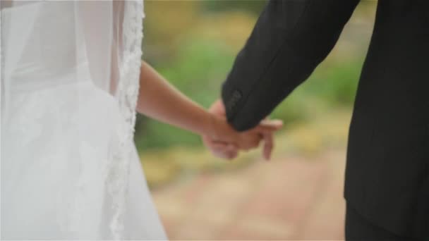Pareja recién casada caminan juntos tomados de la mano — Vídeos de Stock