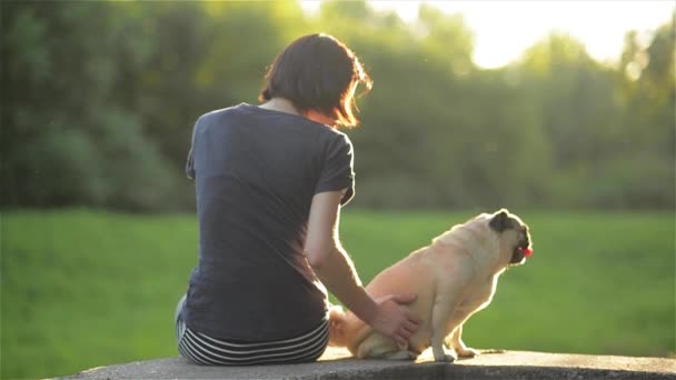 Junges schönes Mädchen streichelt ihren Hund in einem Park bei Sonnenuntergang. Frau spielt mit Hund, Hund und Herrchen auf Brüstung — Stockvideo