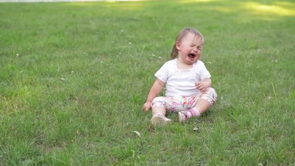 小さな緑の草の背景に泣いている子供、女児は暖かい夏の日に屋外の時間を費やして — ストック動画