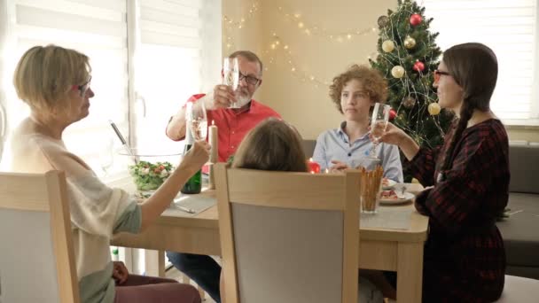 Szczęśliwa rodzina razem świętująca święta. Tradycyjna świąteczna kolacja w wielopokoleniowej rodzinie. — Wideo stockowe
