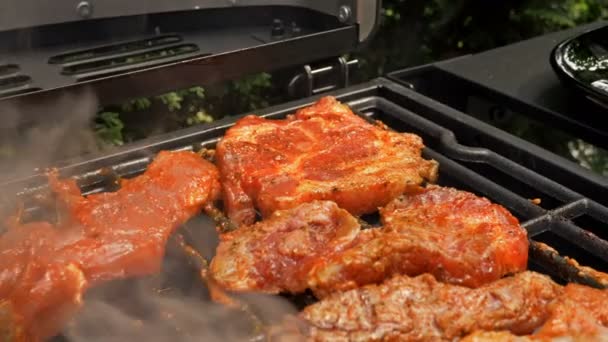 Trozos de carne en una salsa apetitosa se asan a la parrilla. — Vídeos de Stock