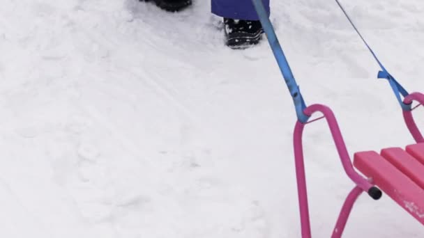 Jemand zieht einen leeren rosafarbenen Schlitten durch den Schnee. — Stockvideo
