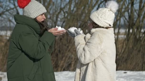 Jeune fille mignonne et sa mère jouent avec la neige pendant une promenade d'hiver. — Video
