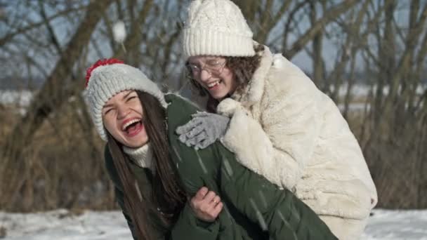 Máma a dospělá dcera nebo dvě sestry se během zimní procházky baví a někdo po nich házel sníh.. — Stock video