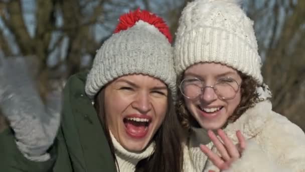 Portret van twee vrolijke vriendinnen of zussen op de achtergrond van een zonnige winterdag. — Stockvideo