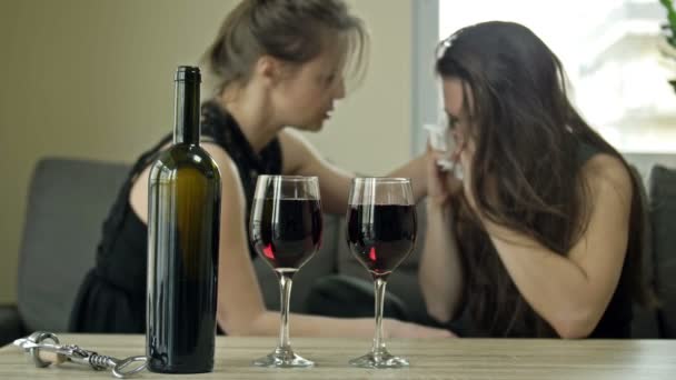 Deux copines boivent du vin. Une femme pleure, l'autre la console. Une tentative de soulager le stress avec de l'alcool. — Video