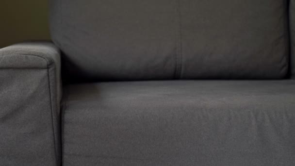 Femme fatiguée, épuisée, tombe sur le canapé et s'endort instantanément. — Video