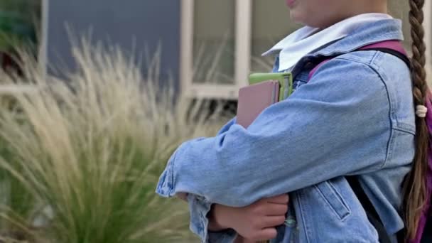 Kleine Schülerin mit Zöpfen geht zur Schule. Das Mädchen hält Bücher in der Hand, sie hat einen Rucksack hinter sich. Zurück zur Schule. — Stockvideo