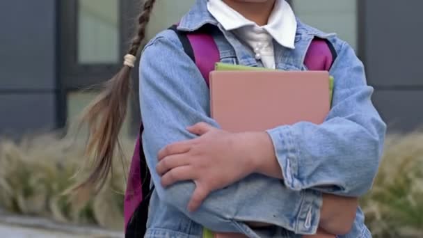Zurück zur Schule. Kleine Schülerin mit Zöpfen geht zur Schule. Das Mädchen hält Bücher in der Hand, sie hat einen Rucksack hinter sich. Zurück zur Schule. — Stockvideo