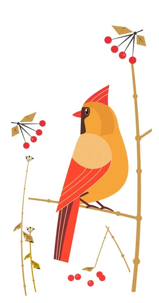 Cardinal Rouge Siège Femelle Sur Icône Vectorielle Branche Arbre Mignon — Image vectorielle