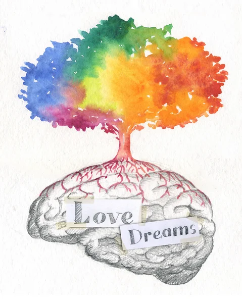 愛と夢の脳 — ストック写真