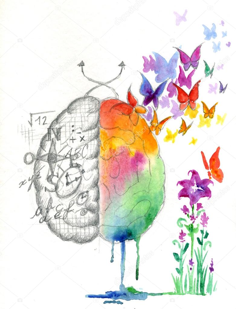 Premium Vector | Pen and ink vintage human brain hemisphere illustration  lateral side