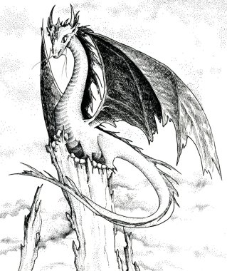 Dragon - siyah beyaz resim