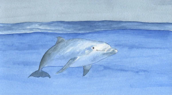 Basen Delfin kompozycji — Zdjęcie stockowe