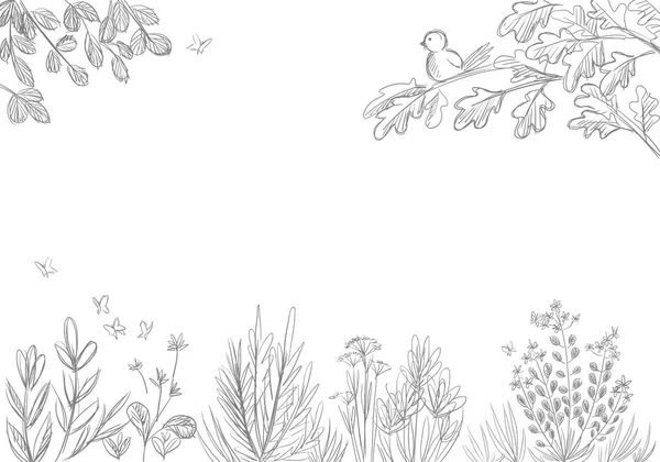 Horizontal banner with flowers, herbs, cute bird and butteflies. Hand drawn vector illustration isolated on white.