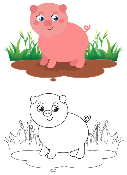 Piglet Bonito Para Colorir Lama Ilustração Isolada Vetor Dos Desenhos —  Vetores de Stock