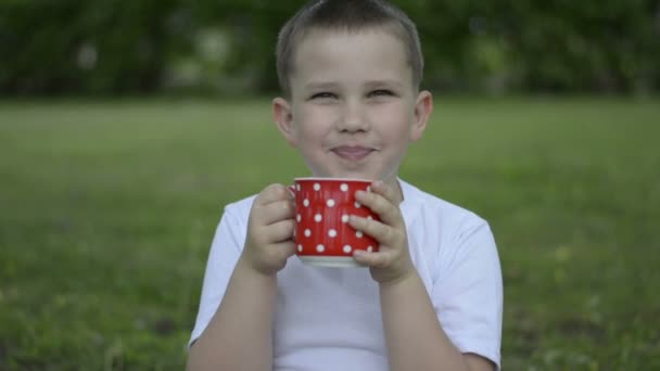 Malý chlapec pije mléko — Stock video