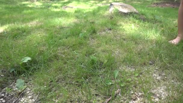 Junge läuft in Zeitlupe im Gras vorbei — Stockvideo