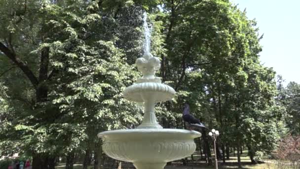 Den vackra stad fontänen, hd — Stockvideo