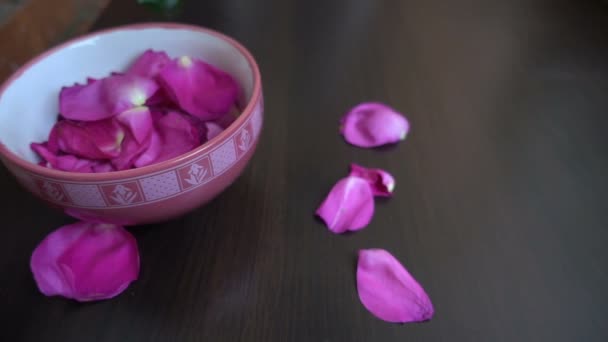 Pétalos caen alrededor de rosa sola — Vídeos de Stock