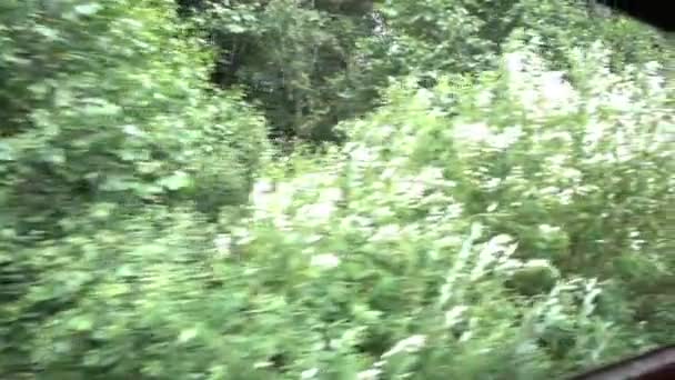 Хлопчик дивиться у вікно поїзда, висловлює емоції — стокове відео