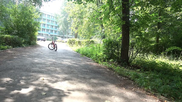 Menino com bicicleta no parque de verão — Fotografia de Stock