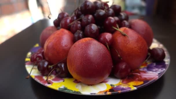 Vista cercana de diferentes frutas frescas, nectarinas y cerezas — Vídeos de Stock