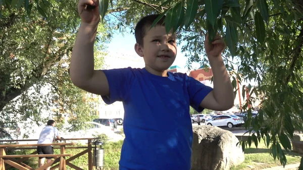 Menino feliz em um fundo de árvores verdes — Fotografia de Stock