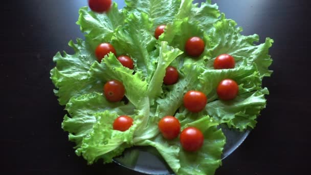 Ensalada verde y tomates — Vídeo de stock