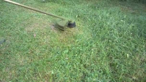 Працівник косить зелену траву ручної газонокосарки на весняний день — стокове відео