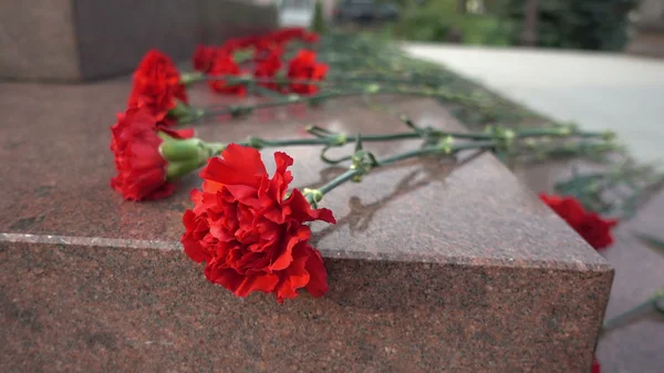 Röda blommor på en gravsten — Stockfoto