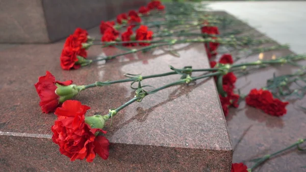 Flores vermelhas em uma lápide — Fotografia de Stock