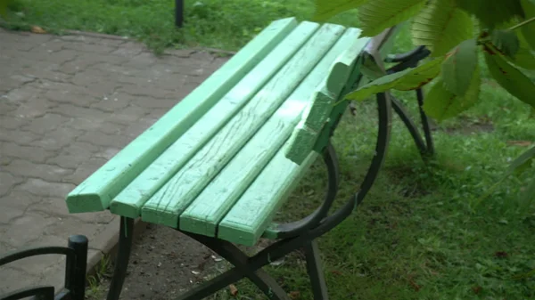 Un banc dans le parc. Heure d "été — Photo