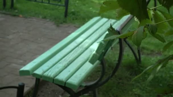 En bänk i parken. Sommaren dagtid — Stockvideo