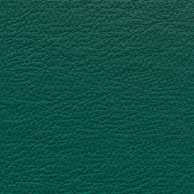 Kuzu derisi delikli noktalar. Yeşil deri kaplama yakın çekim. Tasarım işleri için kullanışlı bir arkaplan. 3 Boyutlu Hazırlama