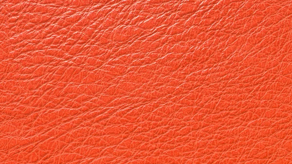 Leather texture background in bright garnet color. Calf and lamb skin close. 3D-rendering — Stock Photo, Image