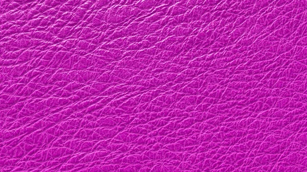 Fond texturé en cuir dans la couleur fuchsia. Peau de veau et d'agneau proche. rendu 3D Images De Stock Libres De Droits