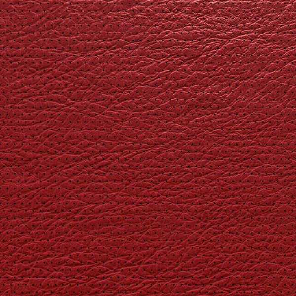 Lamsleer geperforeerde stippen. Rood lederen textuur close-up. Handig als achtergrond voor ontwerpwerken. 3D-weergave — Stockfoto